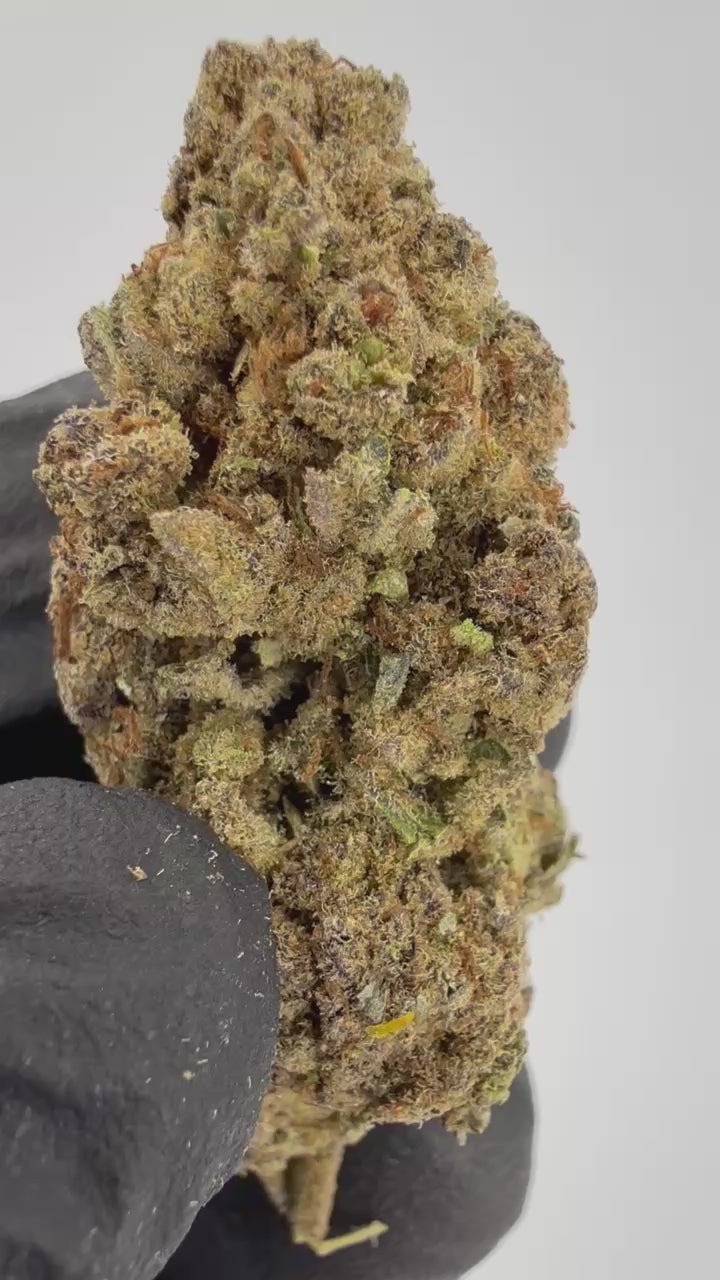 Tangy