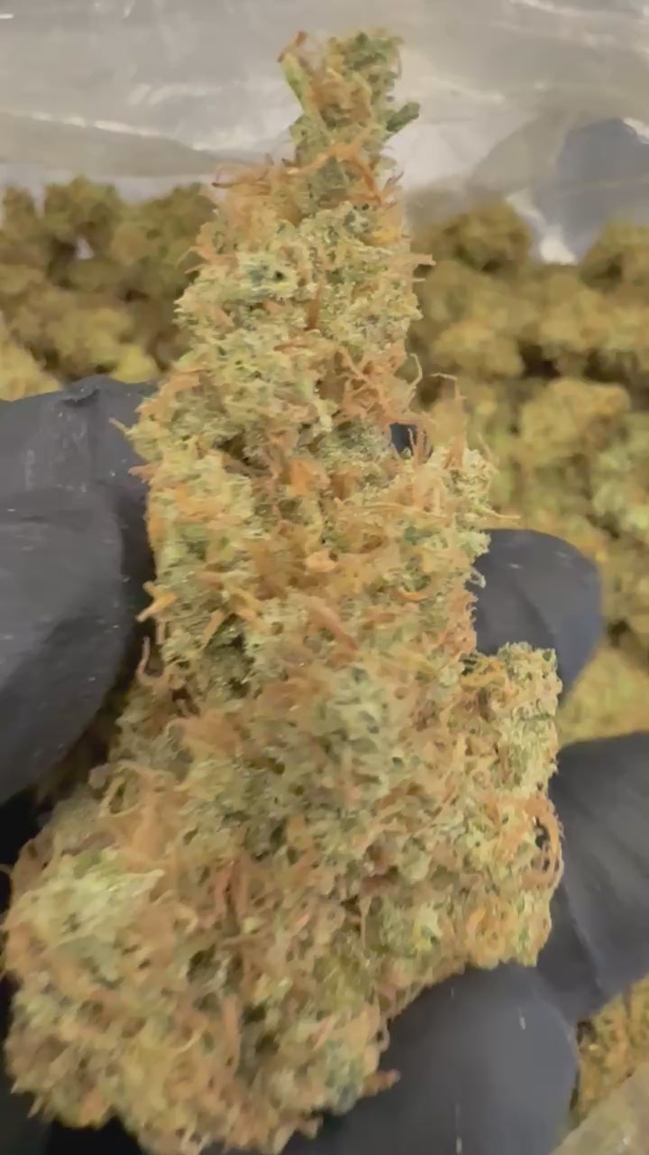Load video: Golden Pineapple