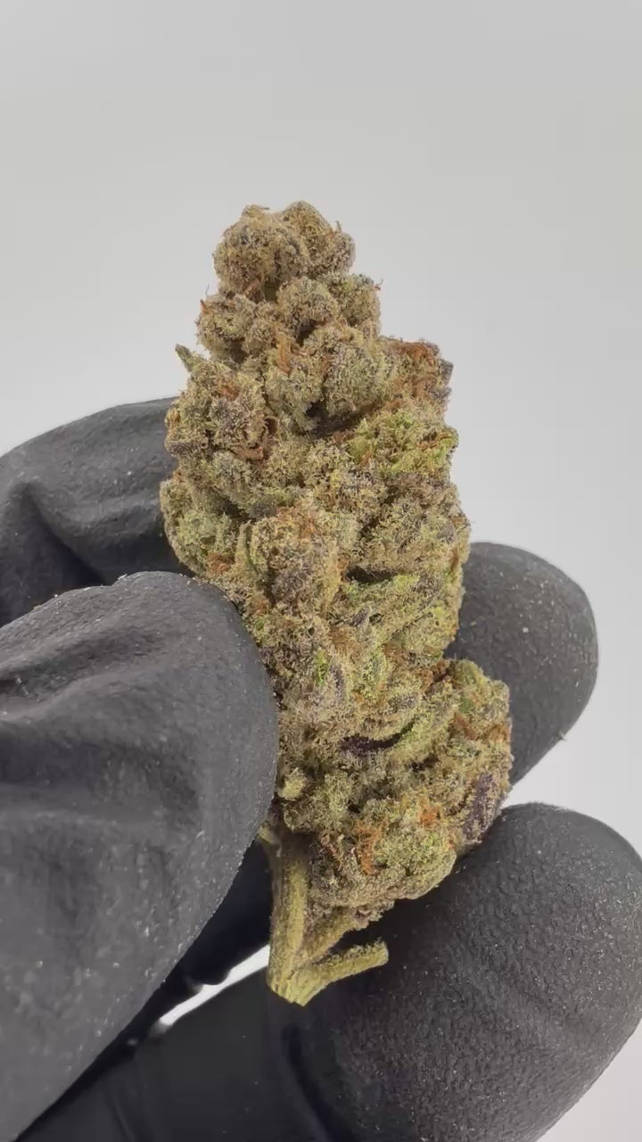 Grape Gas