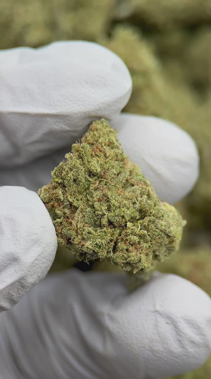 Blue Dream