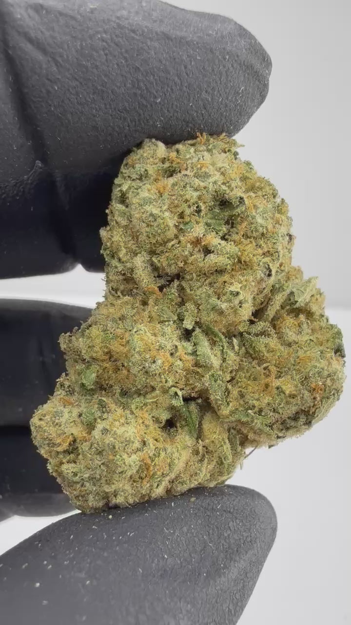 Load video: Biscotti