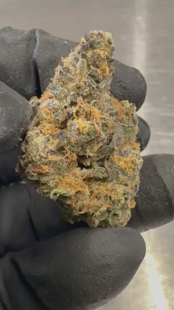 Load video: Carbon Fiber