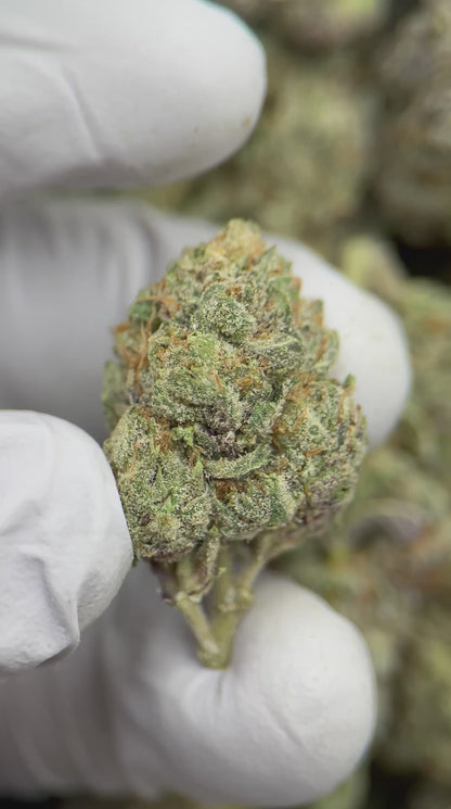 Grape Stomper
