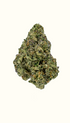 Tangerine Tree - Damn Good | Legal Cannabis