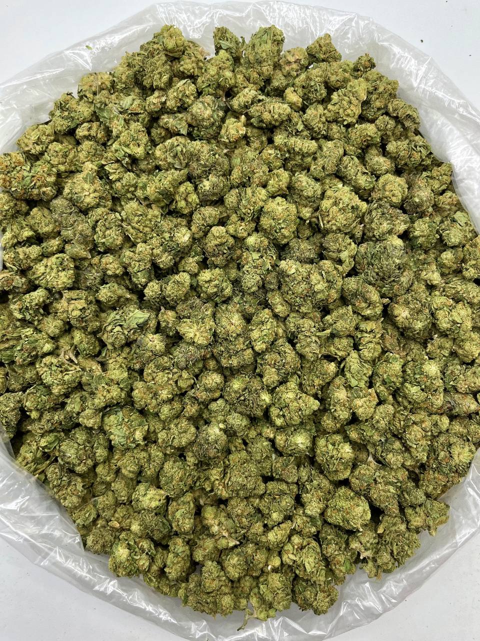 Cereal Milk - Damn Good | Legal Cannabis