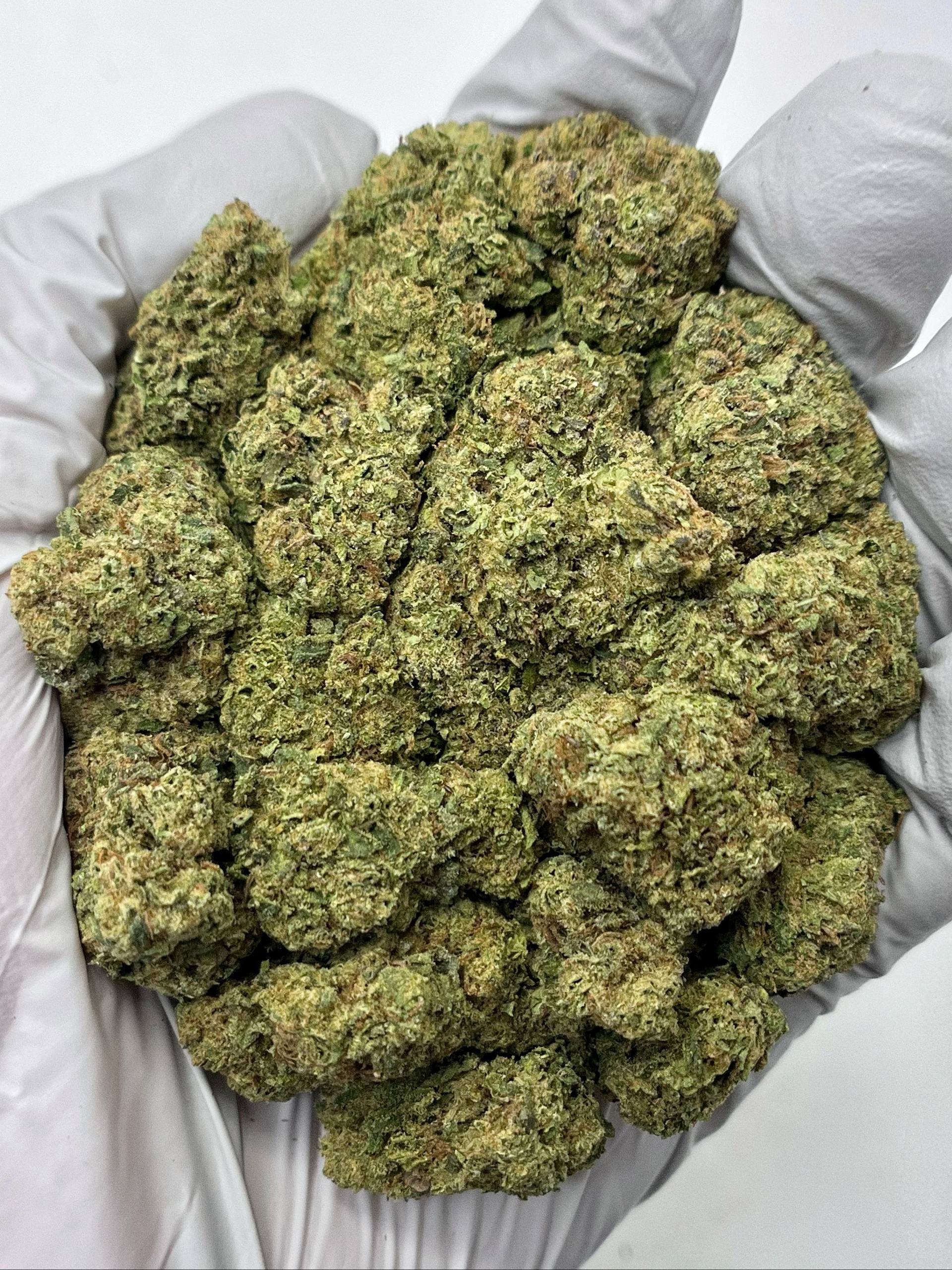 Cheese - Damn Good | Legal Cannabis
