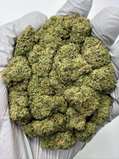 Cheese - Damn Good | Legal Cannabis