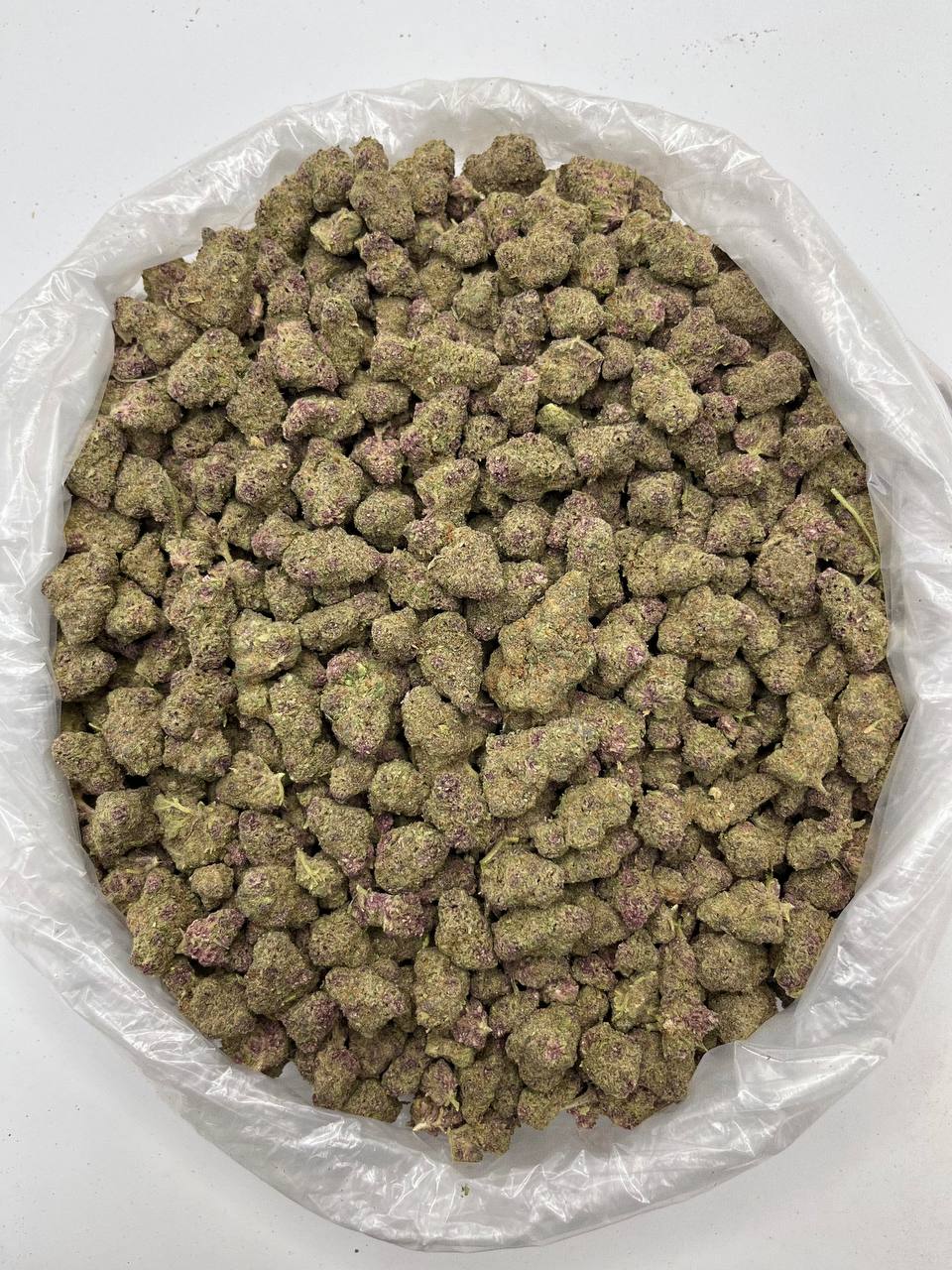 Citrus Blast - Damn Good | Legal Cannabis