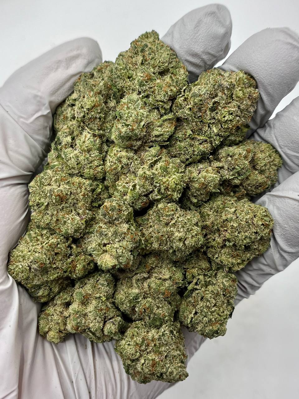 Jokerz Candy - Damn Good | Legal Cannabis