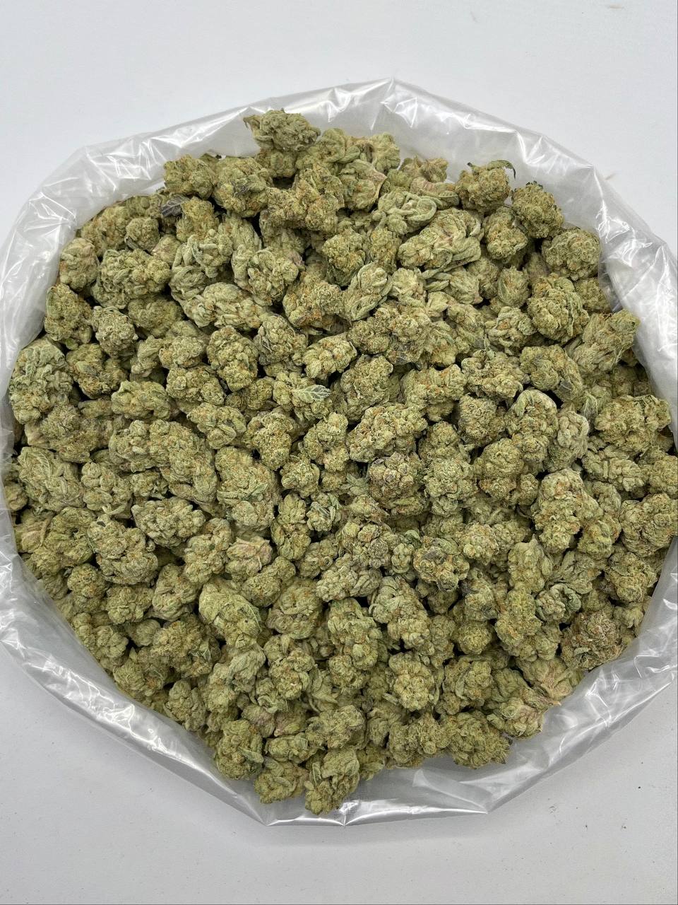 Knights Templar OG - Damn Good | Legal Cannabis