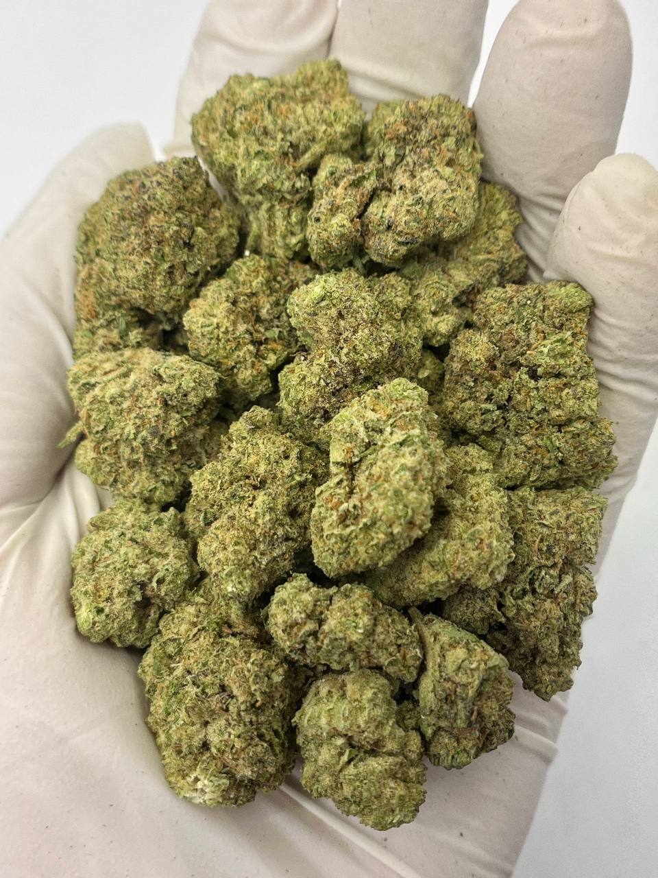 Kush Crasher - Damn Good | Legal Cannabis