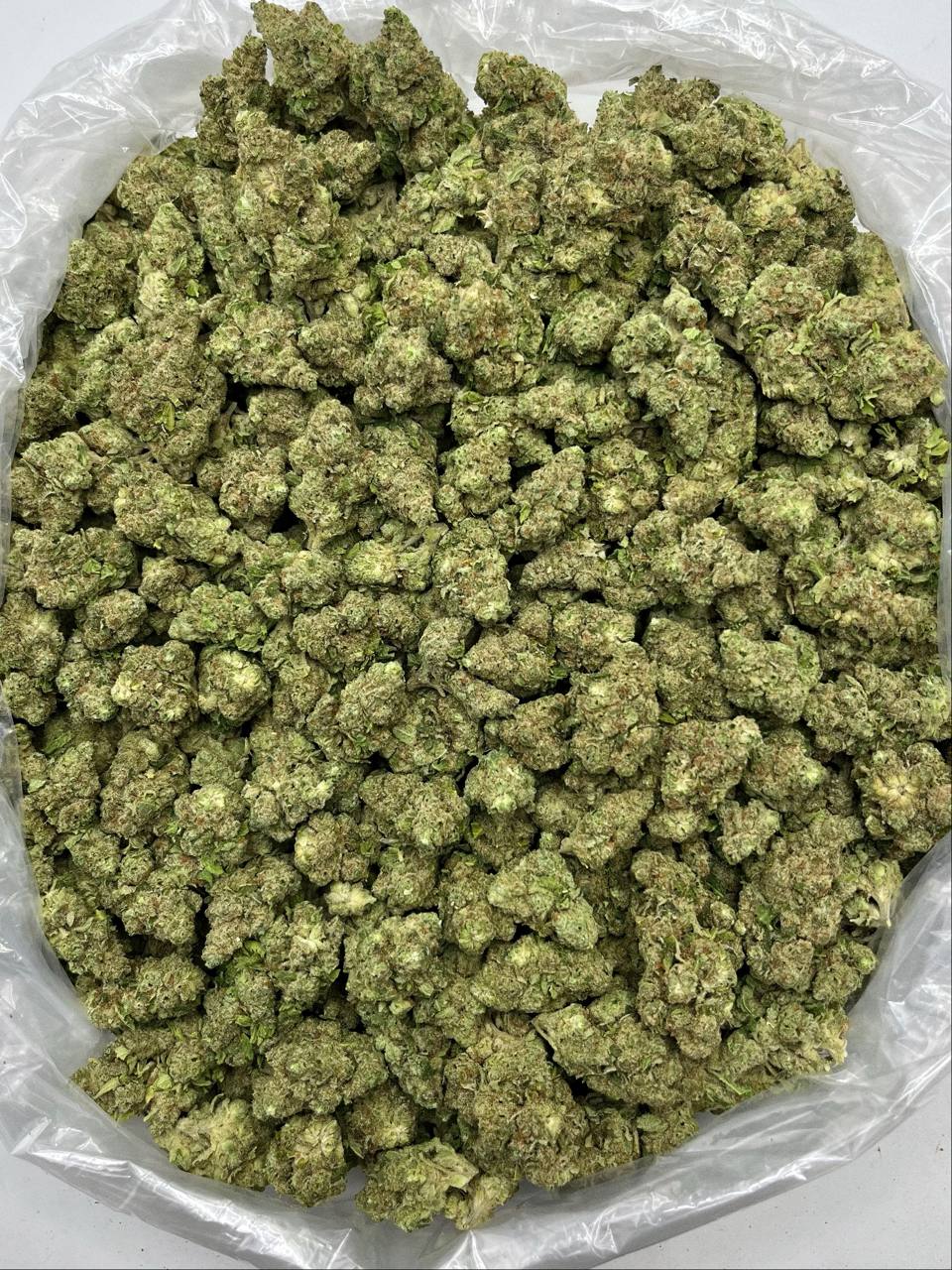Papaya Bomb - Damn Good | Legal Cannabis