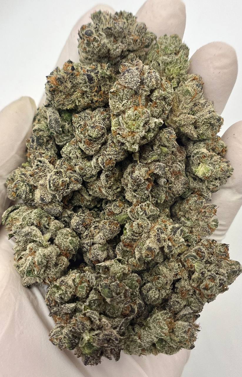 Platinum Lemon Gusher - Damn Good | Legal Cannabis
