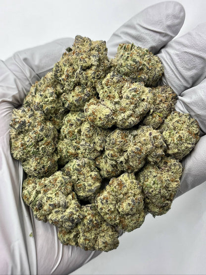 Truffle Pig - Damn Good | Legal Cannabis