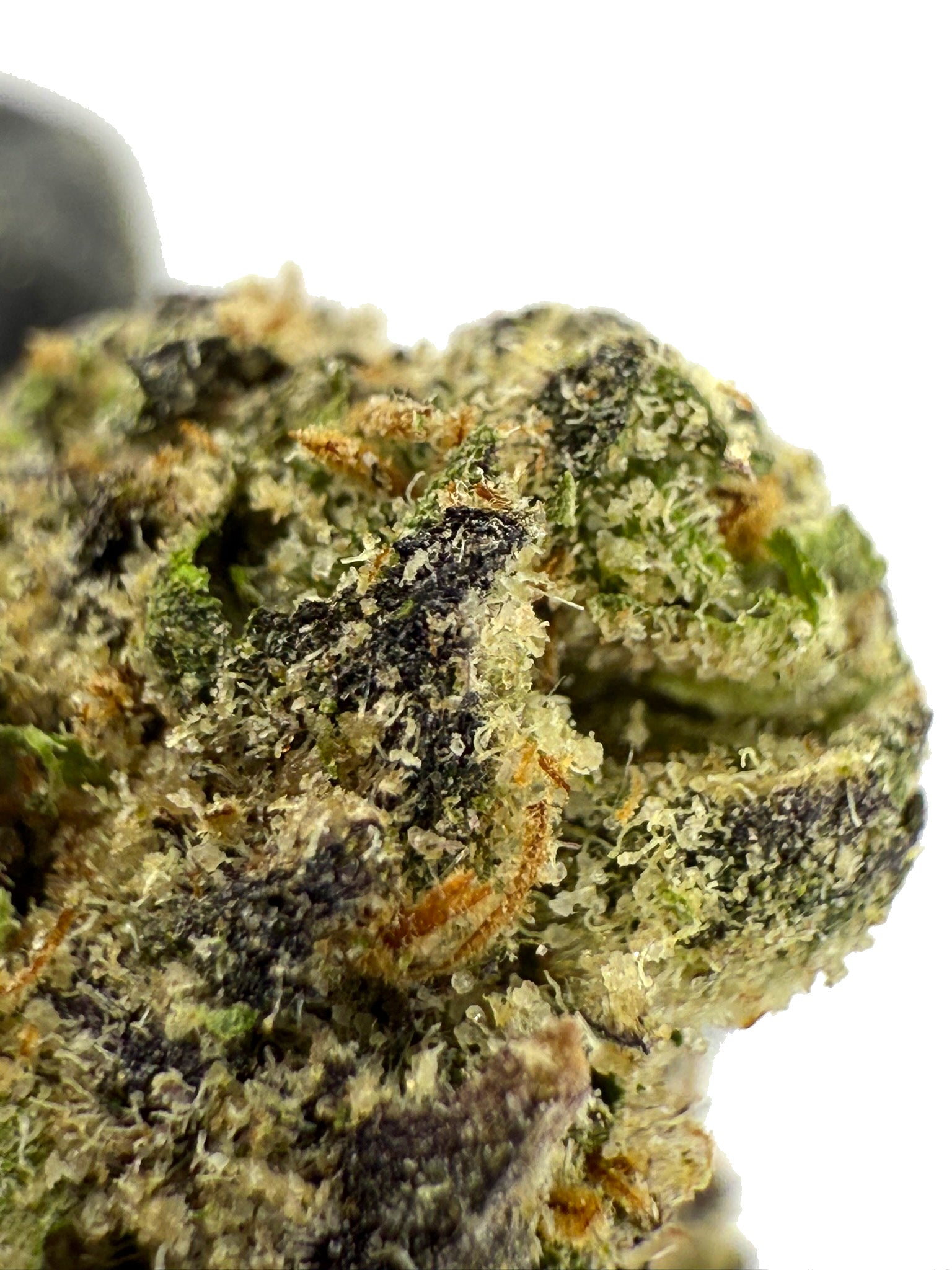 Devils Candy - Damn Good | Legal Cannabis