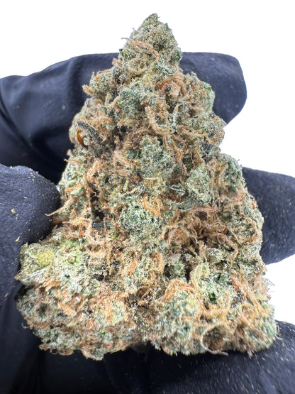 Maui Wowie - Damn Good | Legal Cannabis