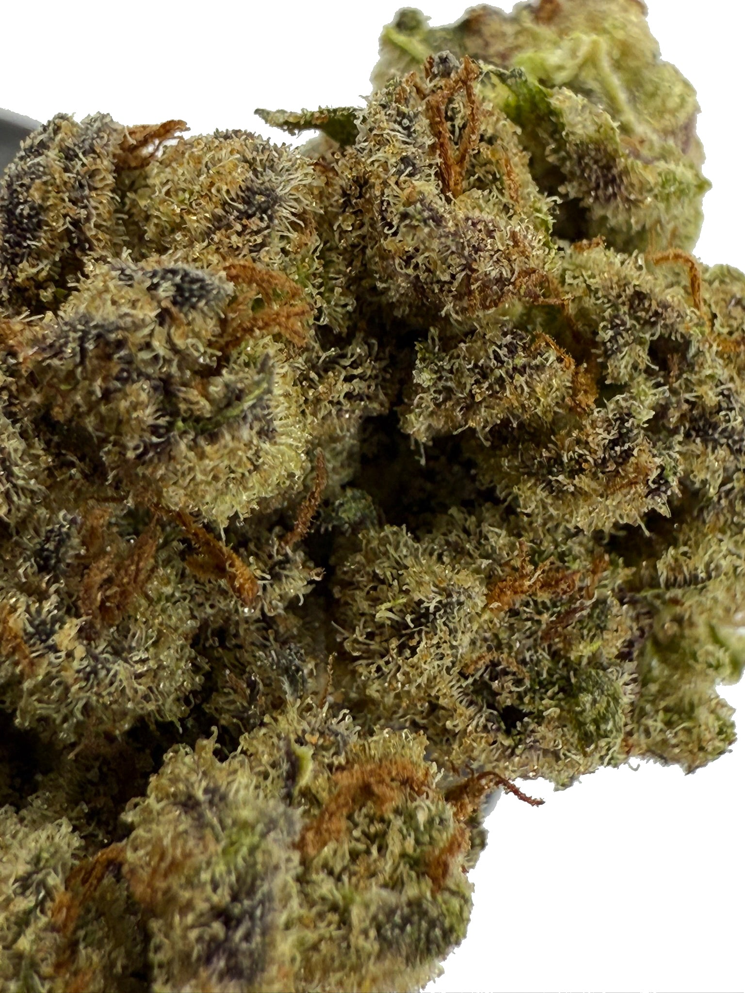 Delicate Grapes - Damn Good | Legal Cannabis
