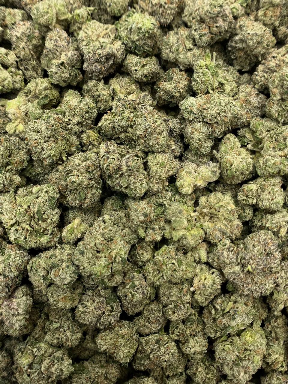 Lemon Cherry Gelato - Damn Good | Legal Cannabis