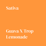 Tropical Guava Smash - Damn Good | Legal Cannabis