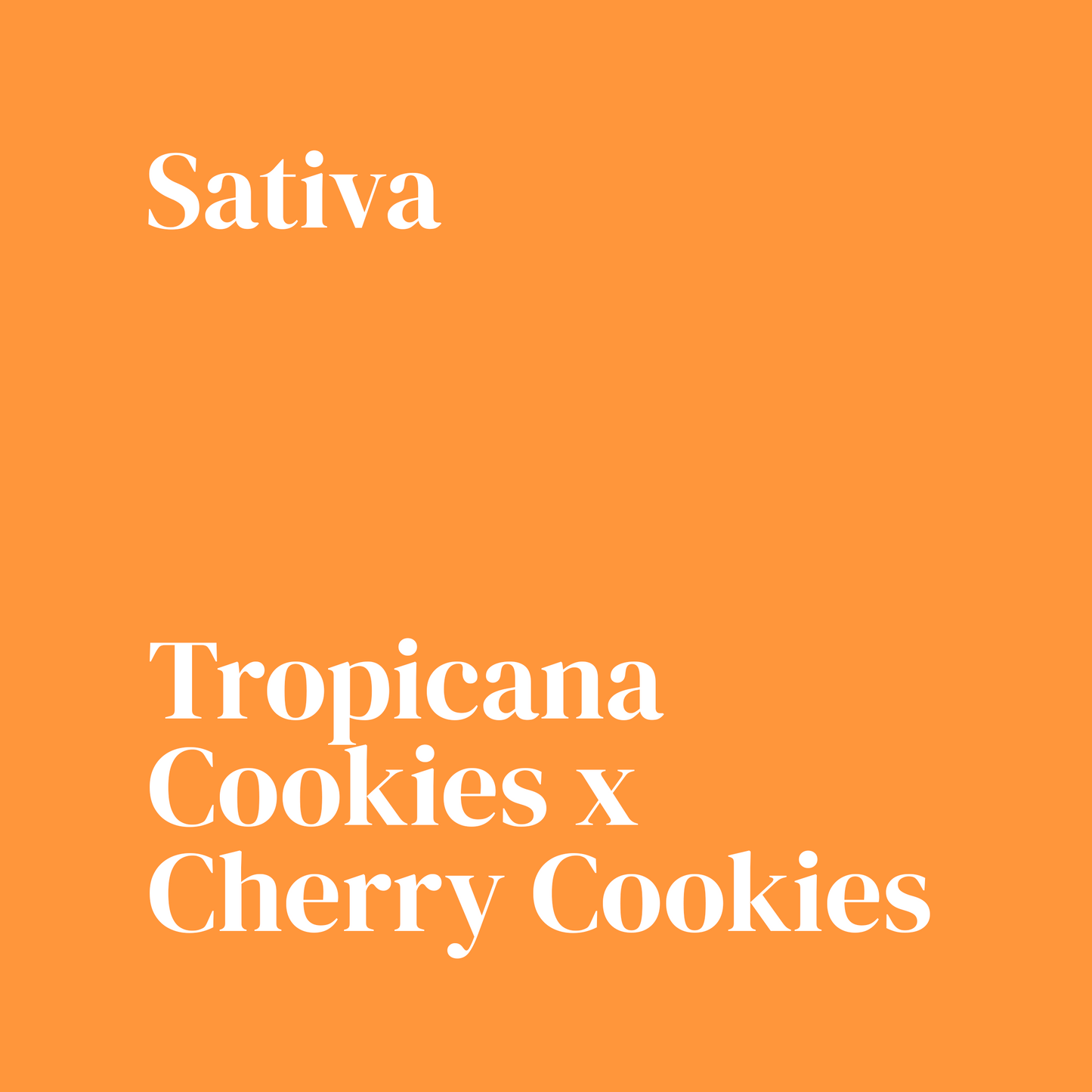 Trop Cherry