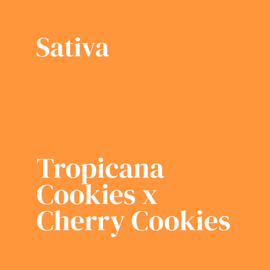 Trop Cherry