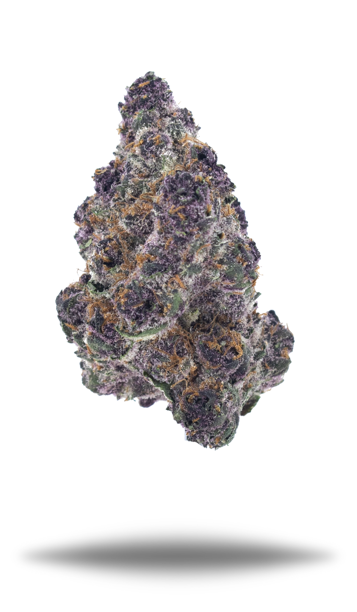 Tropicana Cherry Cookies