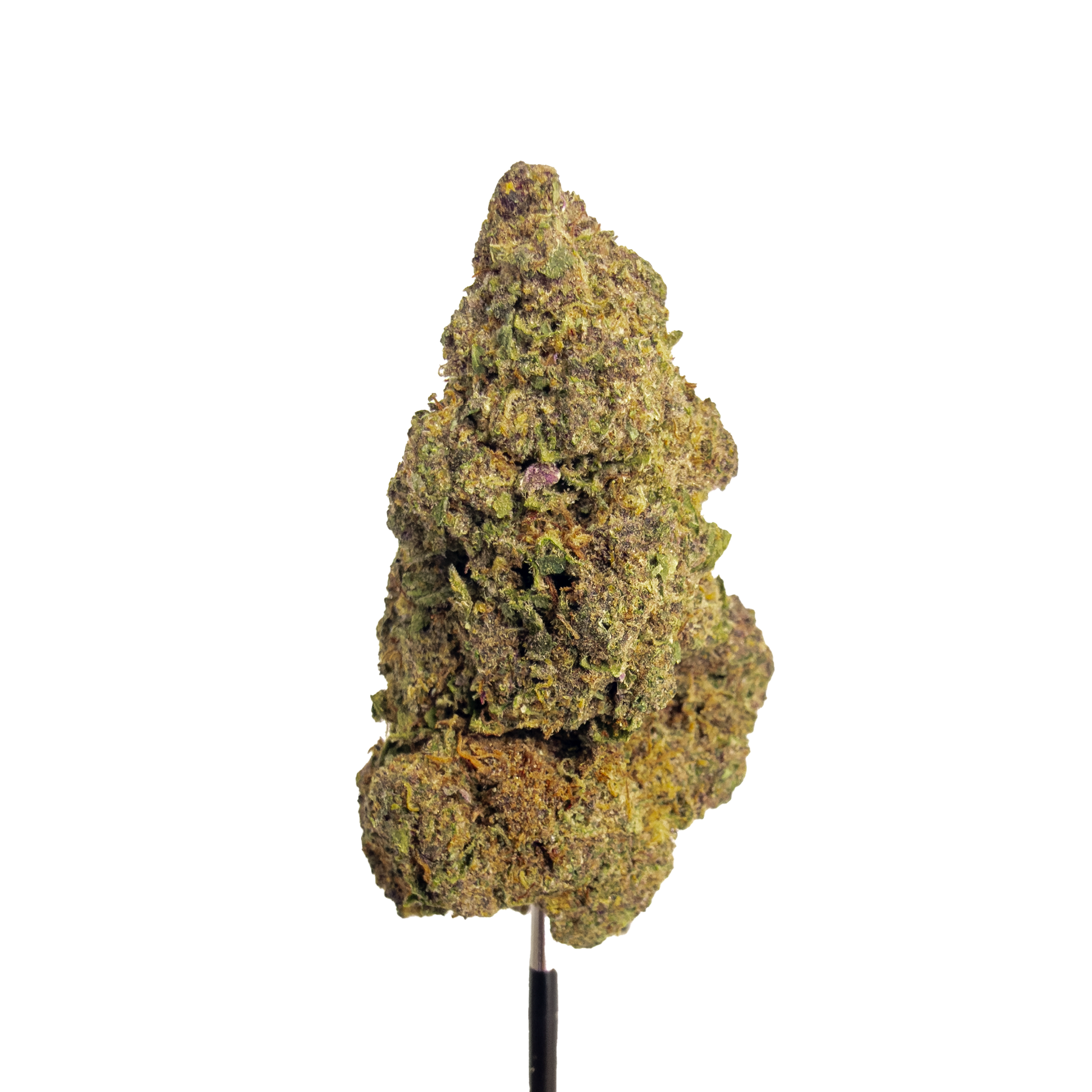 Tropical Summer - Damn Good | Legal Cannabis