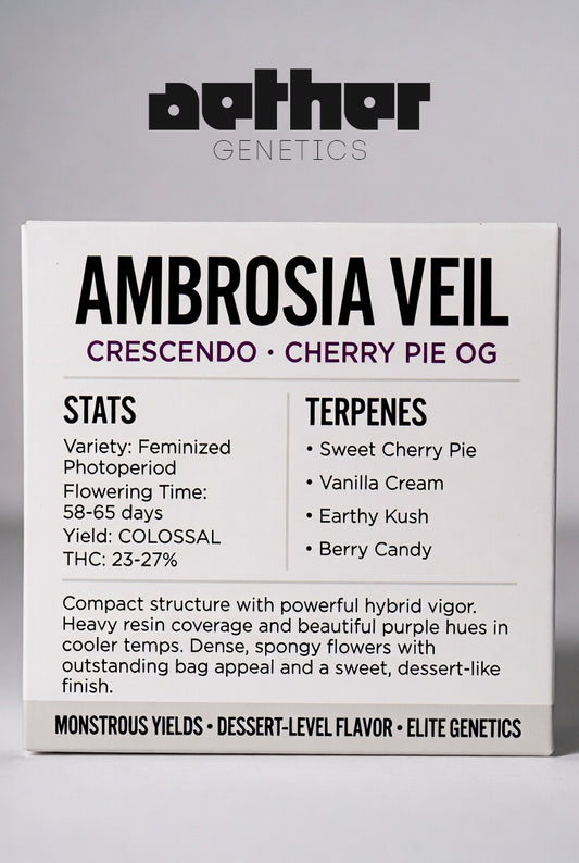 Ambrosia Veil - Damn Good | Legal Cannabis