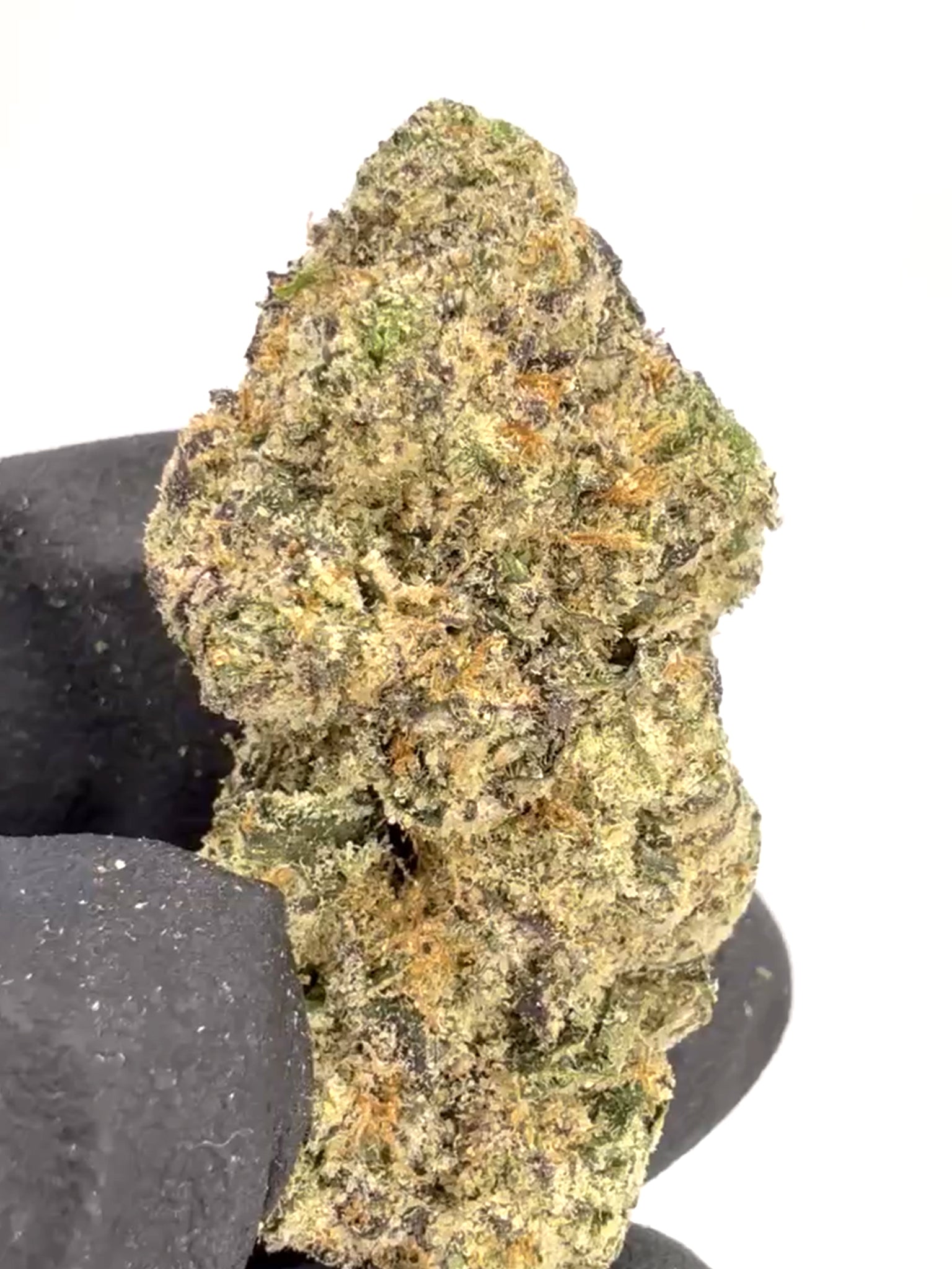 White Cherry Blossom