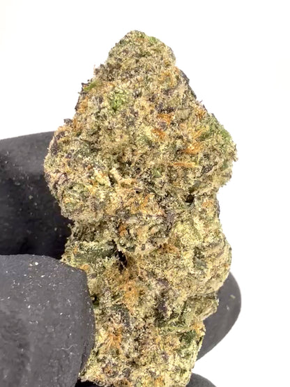 White Cherry Blossom