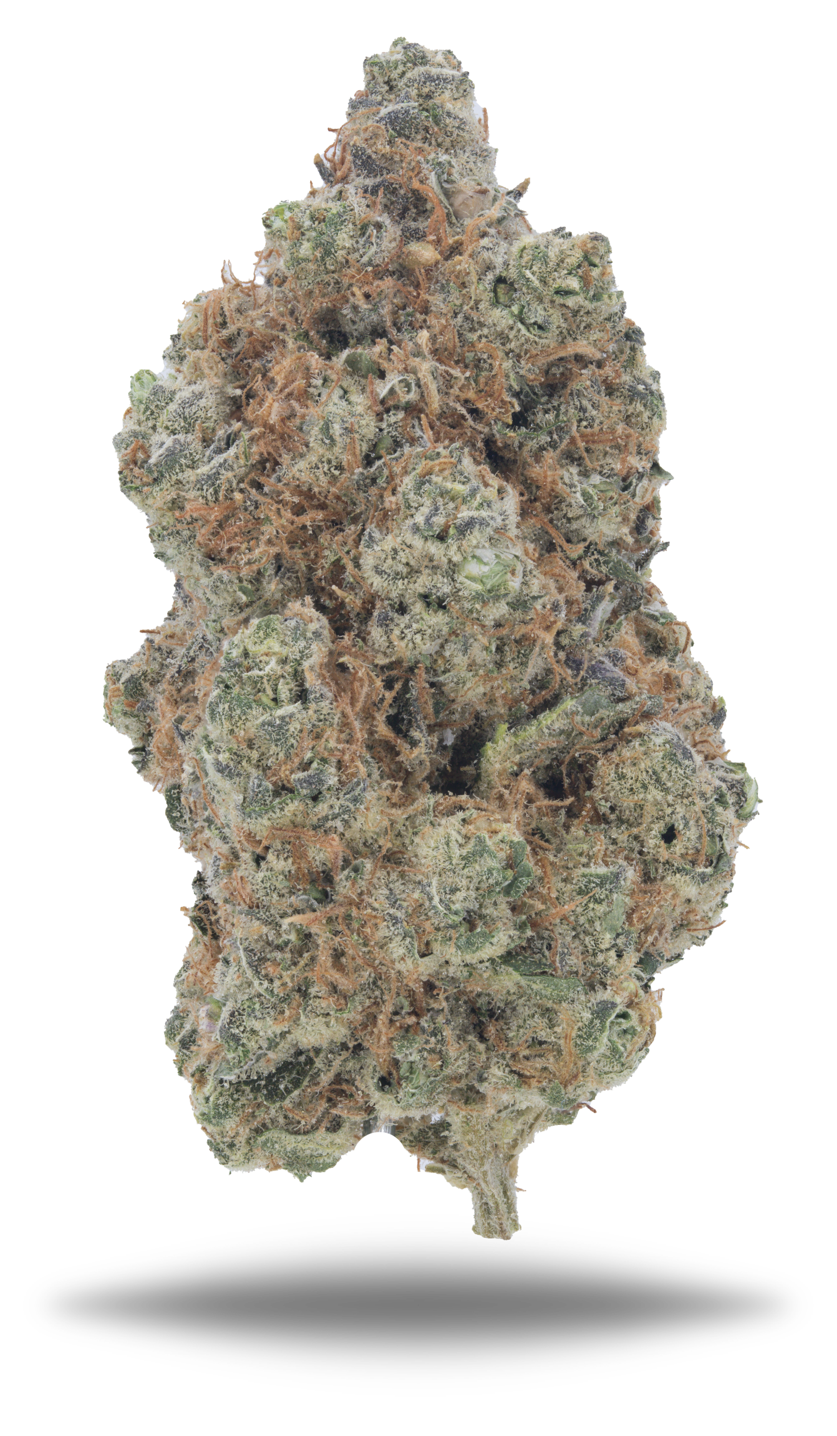 Zkittles Mintz - Damn Good | Legal Cannabis