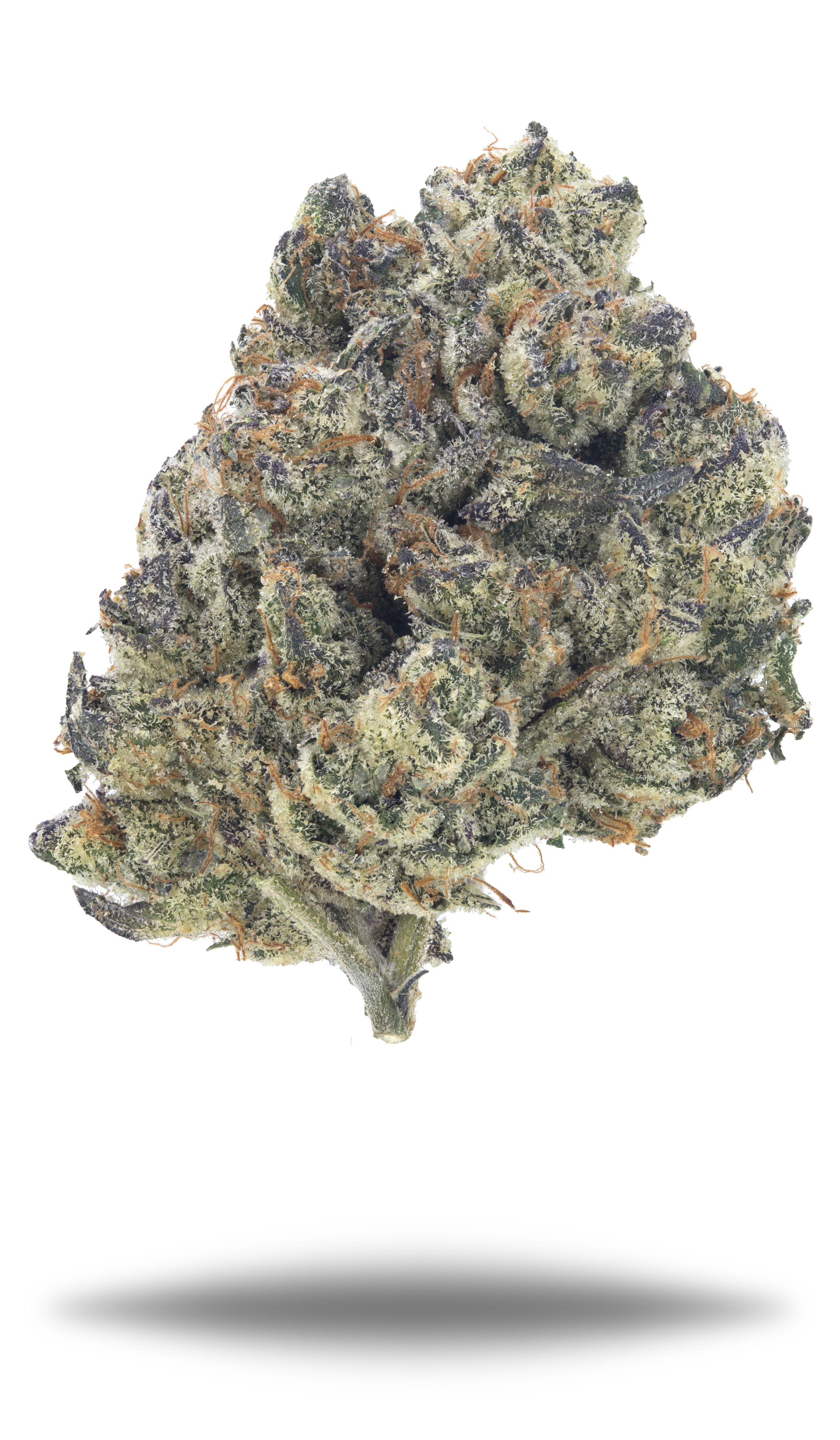 Zordon Breath - Damn Good | Legal Cannabis